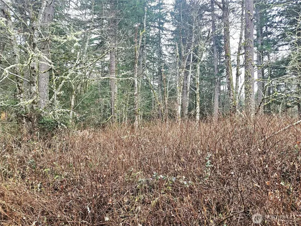 a partial view of a garden