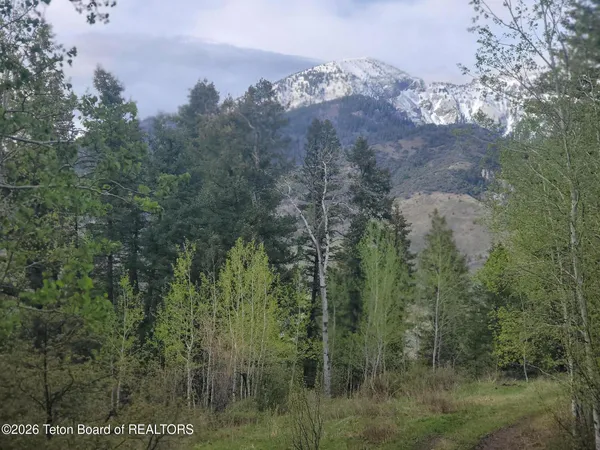 $209,000 | L31-b4 Cutthroat Run, Irwin, ID 83428