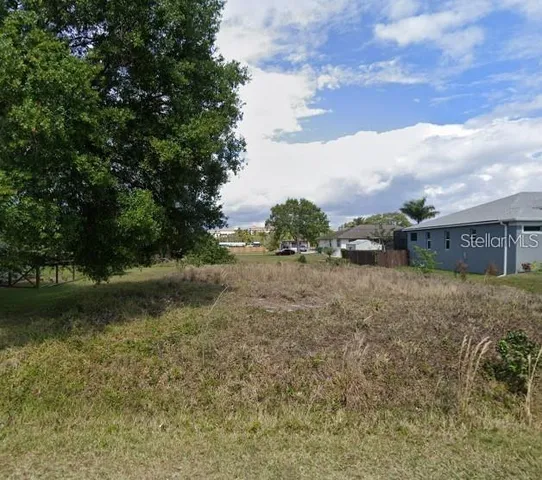 a view of a yard with an trees