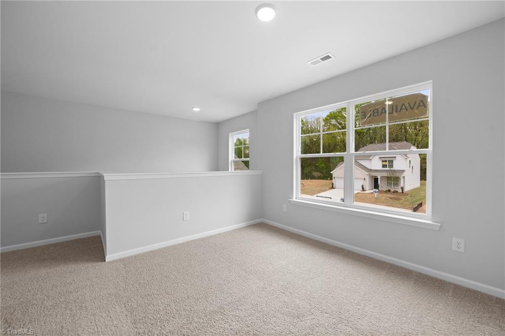 5363 Roshni Terrace McLeansville, NC 27301 - Photo 22 of 35