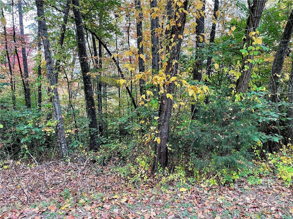 0 Star Dance Ridge, Unit 5 Sylva, NC 28779 - Photo 1 of 2 Gallery Image 1
