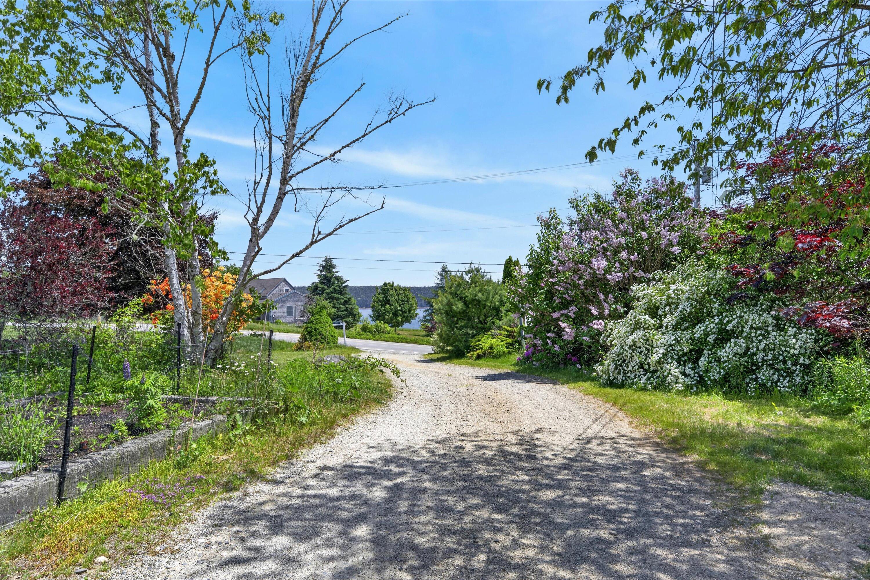 515 Falls Bridge Road Blue Hill, ME 04614 - Photo 10 of 95 515 falls - 10
