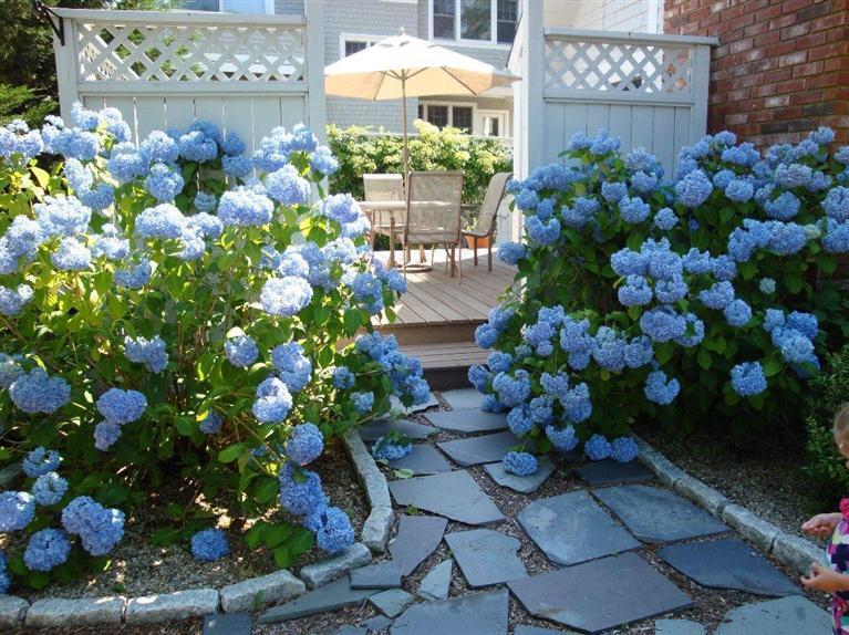 11 Summersea Road Mashpee, MA 02649 - Photo 2 of 12 a bunch of flowers in a garden