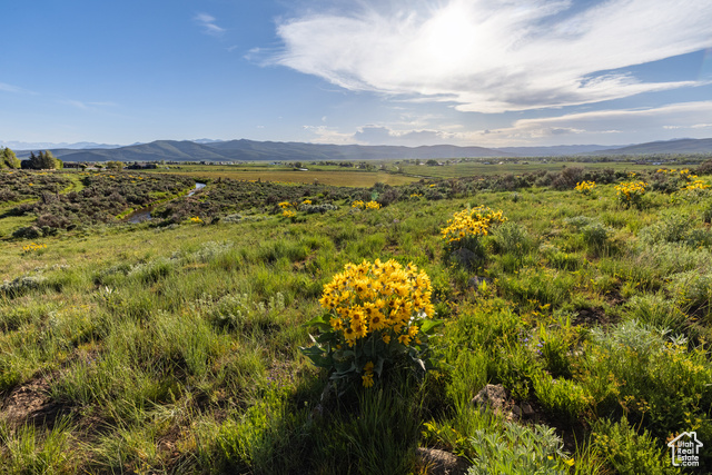 1115 East Hoyt Peak Ranch Road, Unit 4 Kamas, UT 84036 - Photo 7 of 16