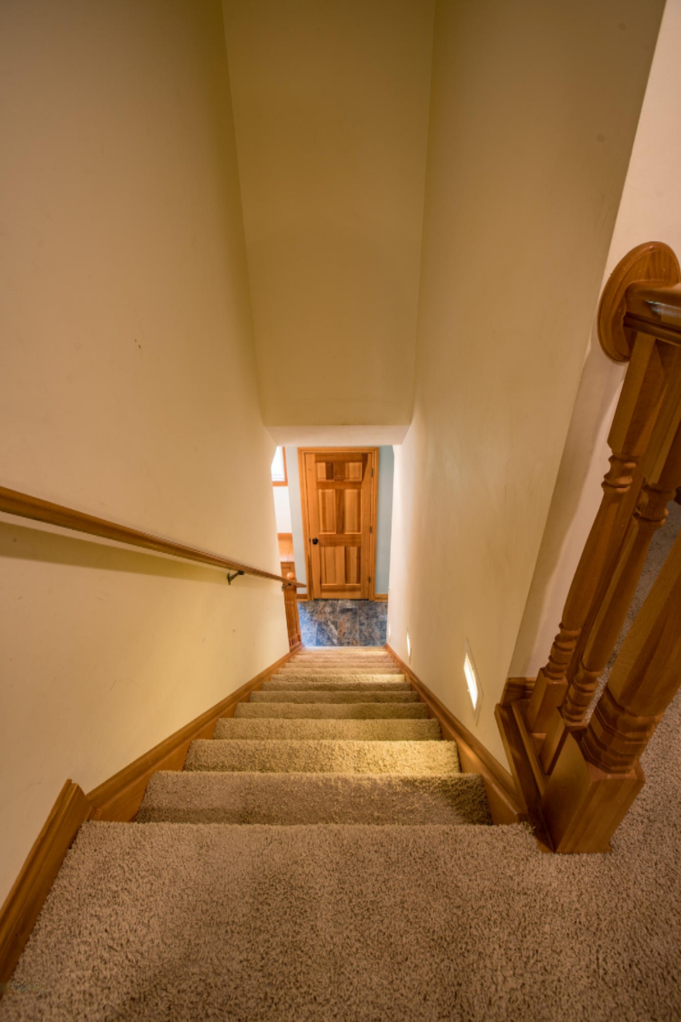 2164 Buehler Road Hastings, MI 49058 - Photo 30 of 47 Tuned-00029