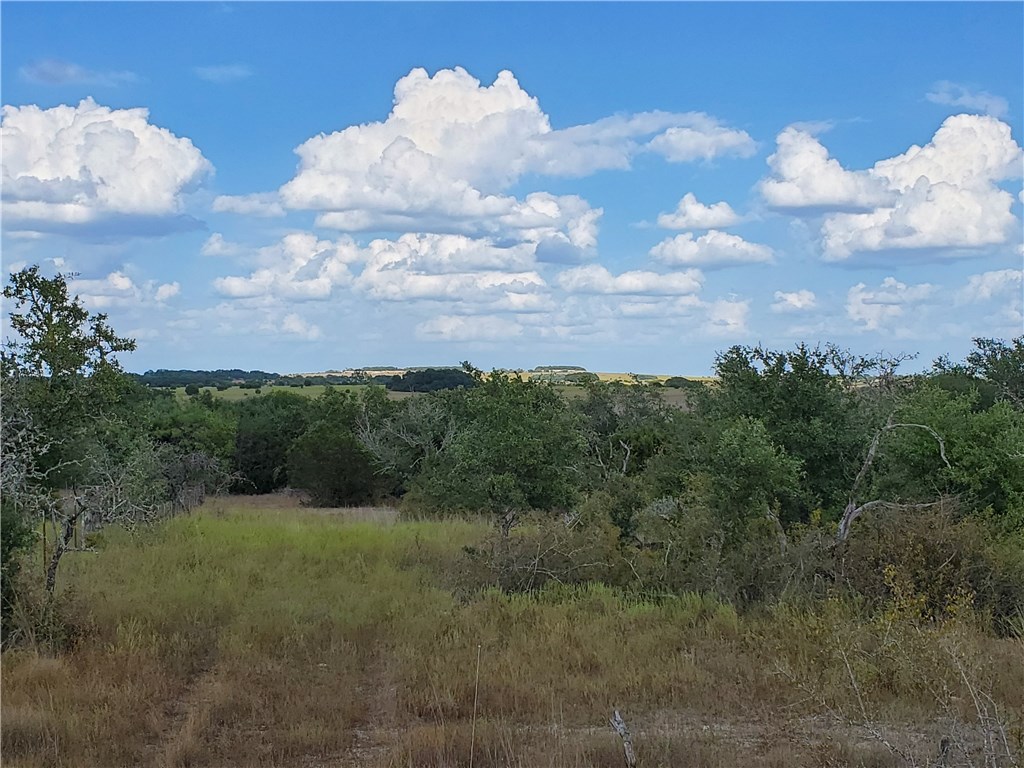 Lot 51 Hilltop Springs Ranch Kempner, TX 76539 - Photo 1 of 1 an aerial view of houses covered in trees