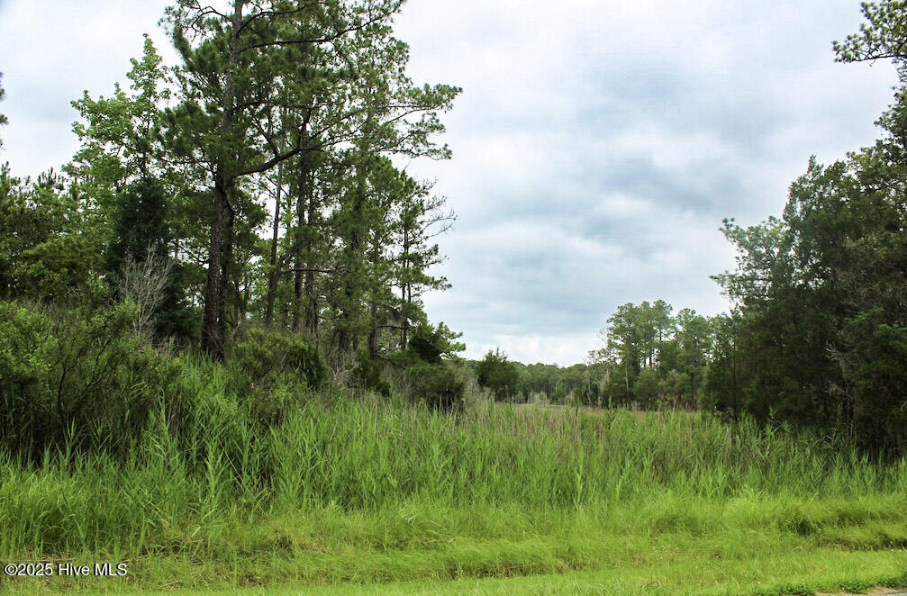 0 Whealton Point Road Aurora, NC 27806 - Photo 44 of 47 43
