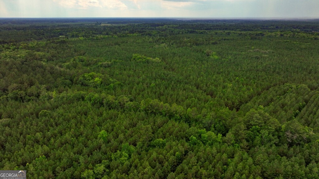 0 Highway 204 & Carlos Cowart Road Pembroke, GA 31321 - Photo 28 of 47