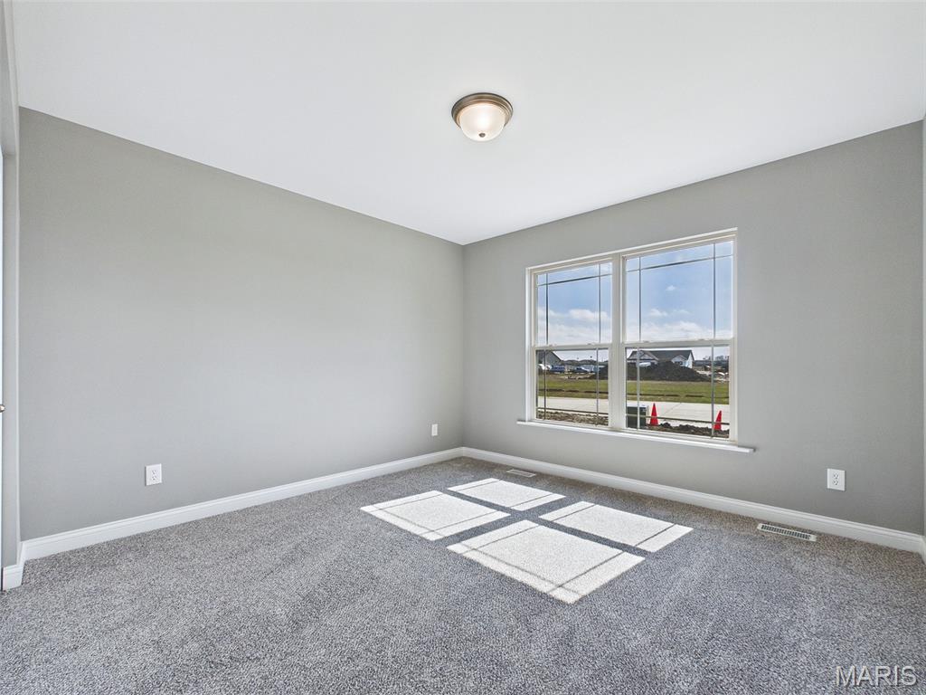 308 George Bush Boulevard Troy, IL 62294 - Photo 22 of 37