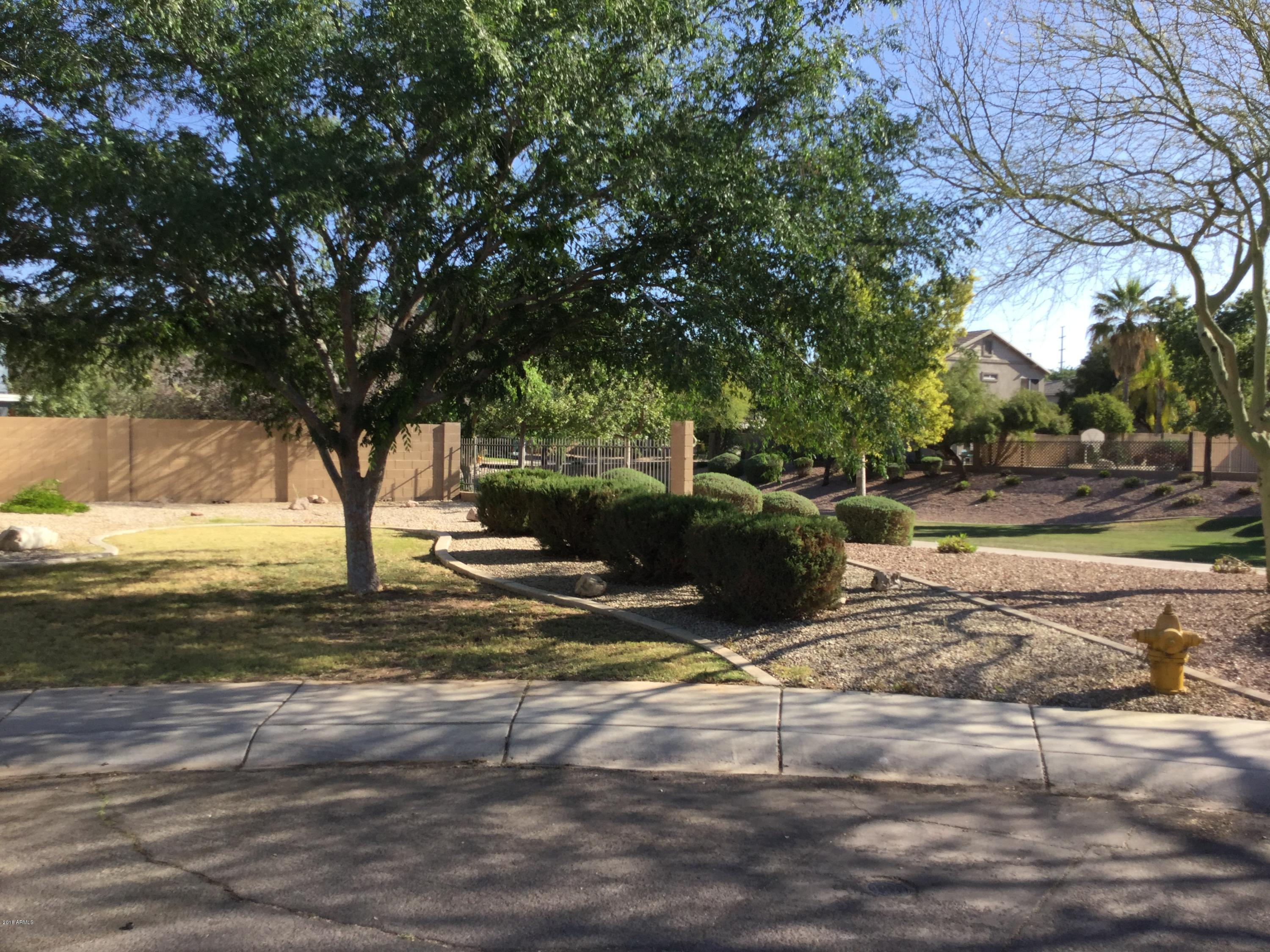 2504 East Del Rio Court Gilbert, AZ 85295 - Photo 24 of 31 IMG_2065