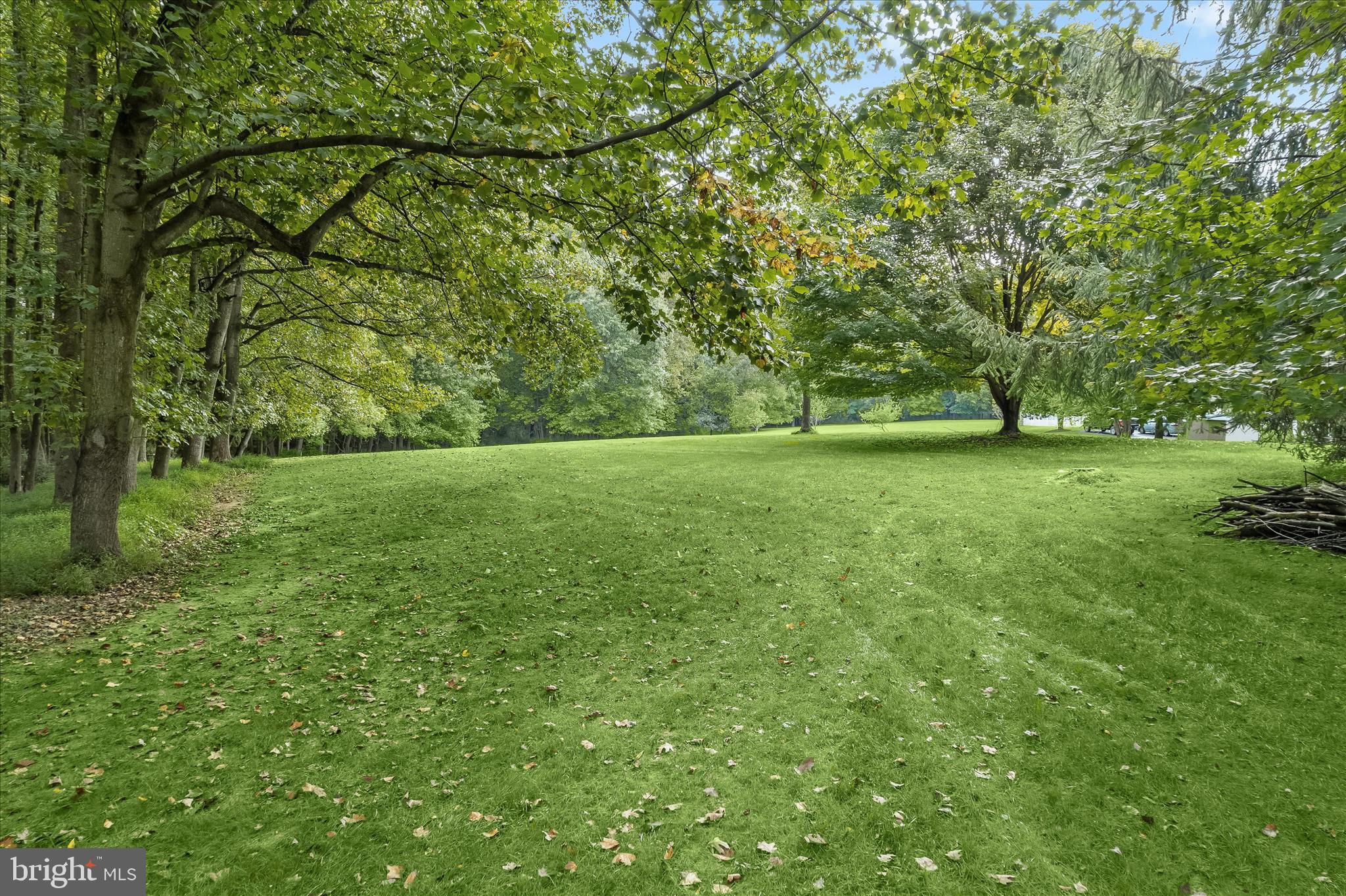 20521 Riggs Hill Way Brookeville, MD 20833 - Photo 33 of 34 Side Lawn