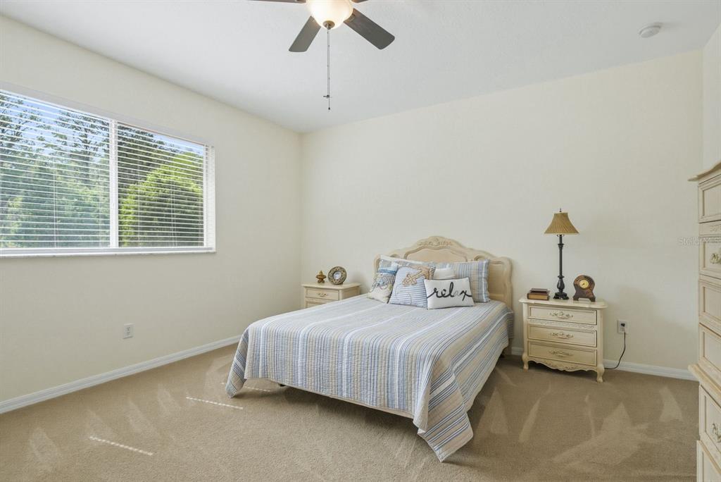 9103 Creedmoor Lane New Port Richey, FL 34654 - Photo 51 of 90 a bedroom with bed and a window