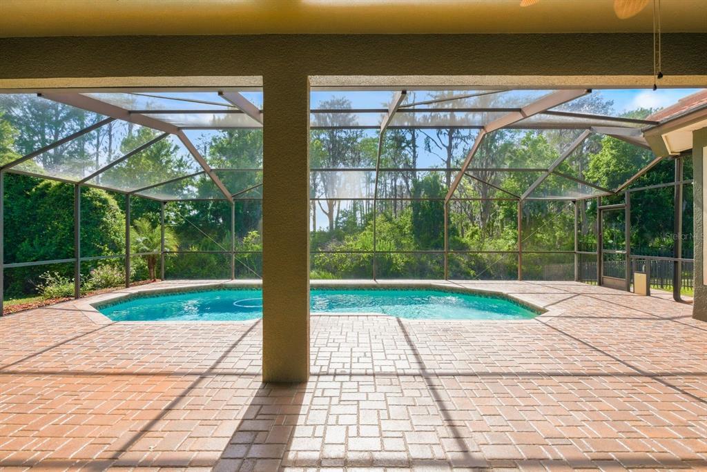 9103 Creedmoor Lane New Port Richey, FL 34654 - Photo 55 of 90 a view of outdoor space yard and patio