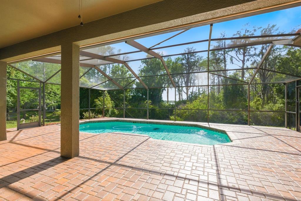 9103 Creedmoor Lane New Port Richey, FL 34654 - Photo 56 of 90