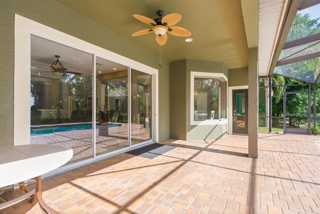 9103 Creedmoor Lane New Port Richey, FL 34654 - Photo 57 of 90