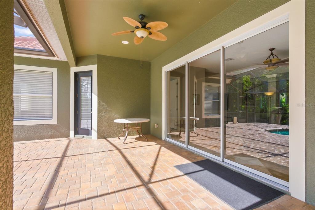 9103 Creedmoor Lane New Port Richey, FL 34654 - Photo 58 of 90