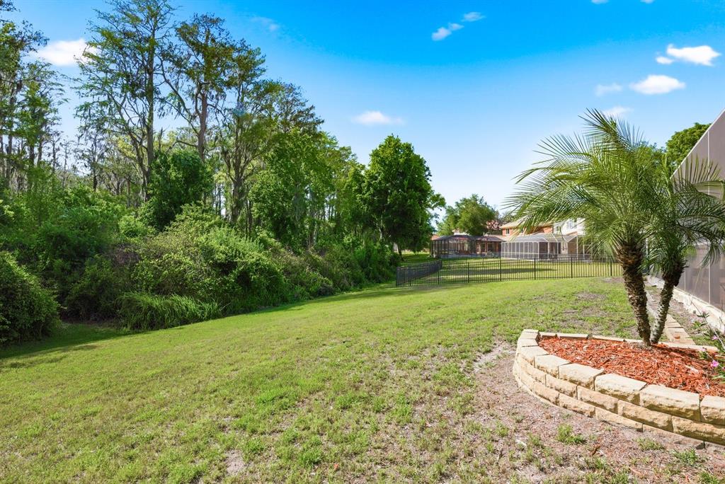 9103 Creedmoor Lane New Port Richey, FL 34654 - Photo 62 of 90 a view of a garden with a tree