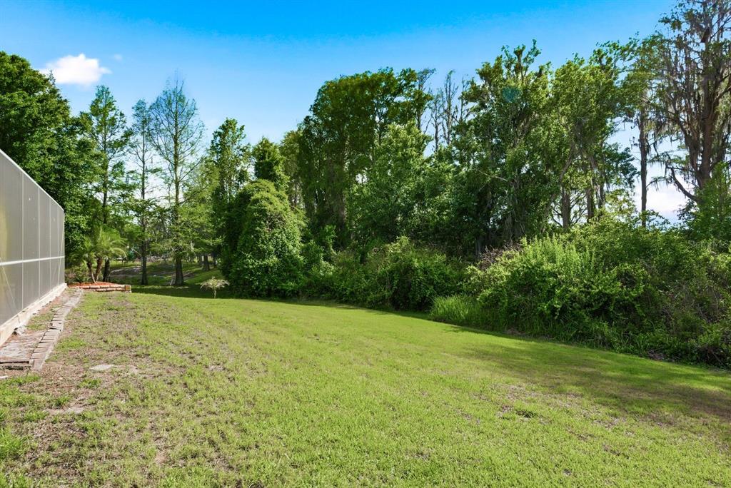 9103 Creedmoor Lane New Port Richey, FL 34654 - Photo 65 of 90 a backyard of a house with lots of green space