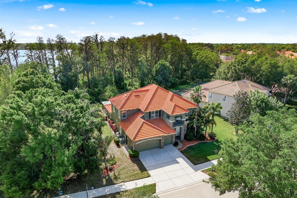 9103 Creedmoor Lane New Port Richey, FL 34654 - Photo 68 of 90