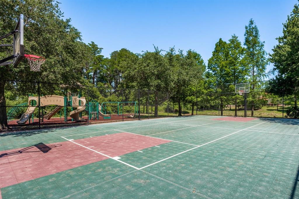 9103 Creedmoor Lane New Port Richey, FL 34654 - Photo 80 of 90 a view of a tennis ground with large trees