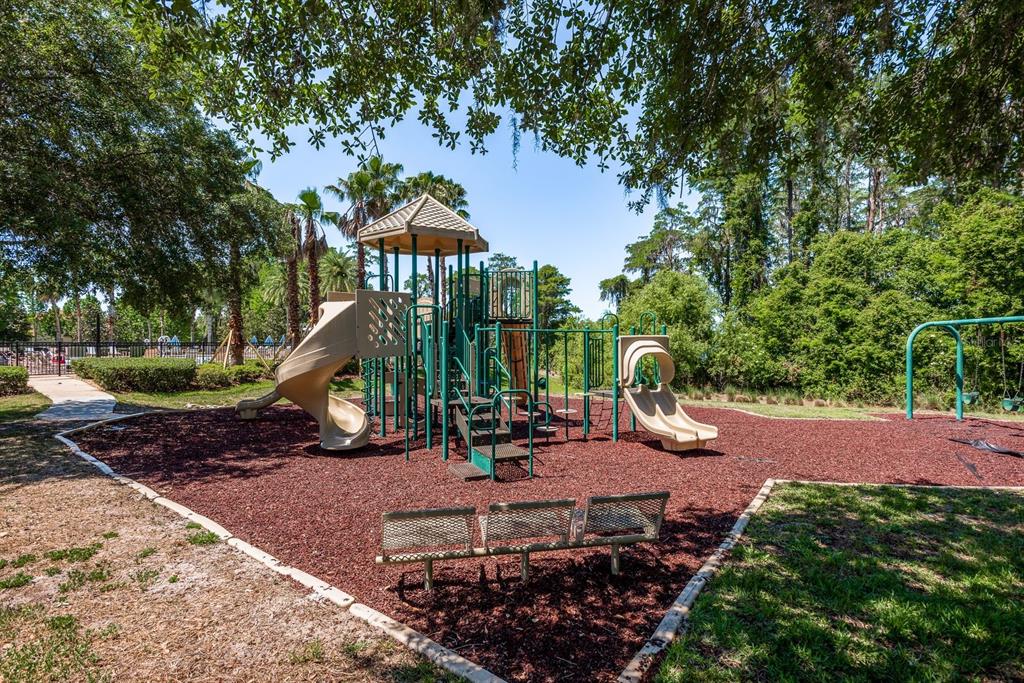 9103 Creedmoor Lane New Port Richey, FL 34654 - Photo 82 of 90 a view of a park with a slide
