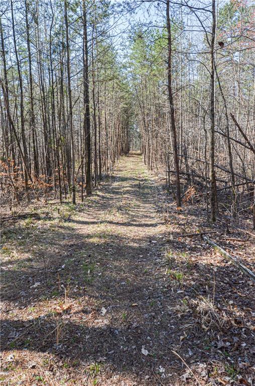 6700 Walnut Cove Road Walkertown, NC 27051 - Photo 46 of 50 Gallery Image 46