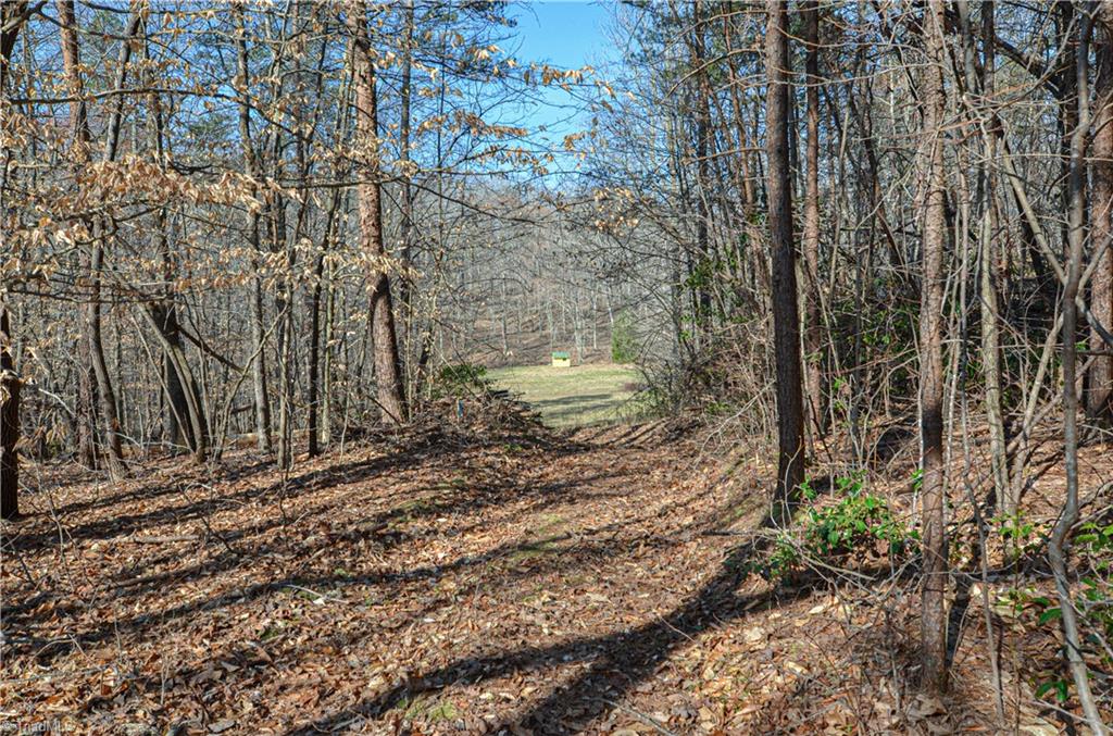 6700 Walnut Cove Road Walkertown, NC 27051 - Photo 5 of 50 Gallery Image 5