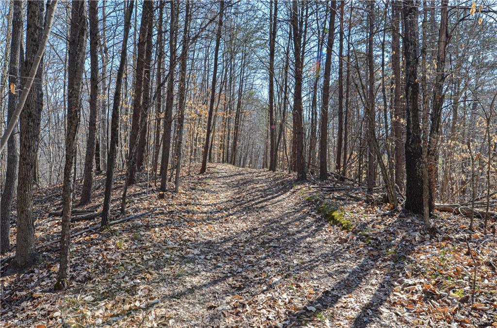 6700 Walnut Cove Road Walkertown, NC 27051 - Photo 8 of 50 Gallery Image 8