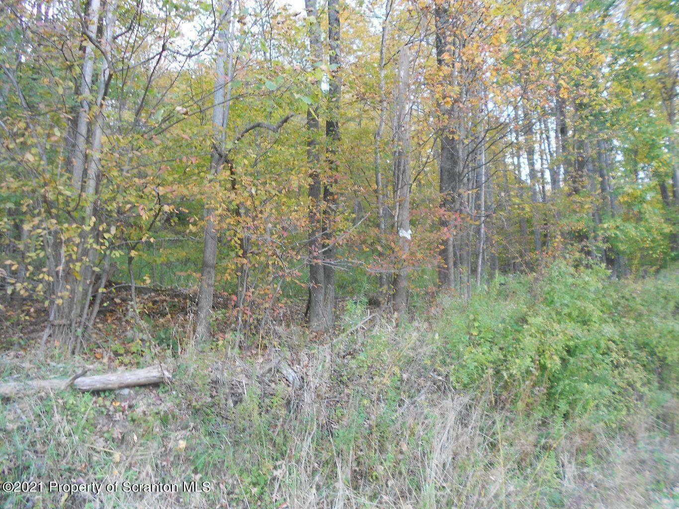 English Flats Road Hallstead, PA 18822 - Photo 2 of 6 English Flats Road Dav 3