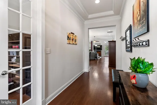 a hallway with wooden floor and a potted plant