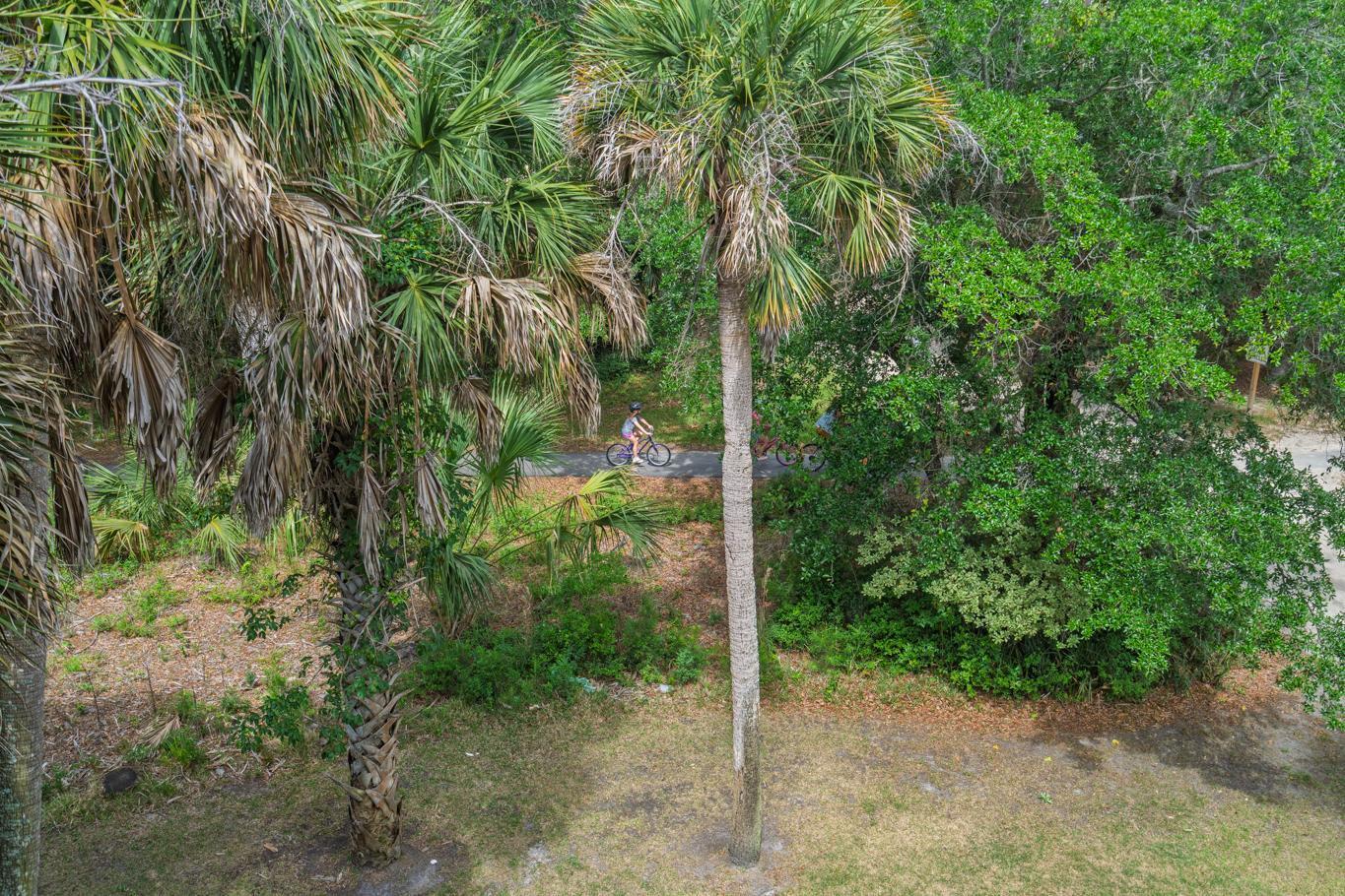 3332 Myrtle Street Edisto Island, SC 29438 - Photo 31 of 68 untitled-36