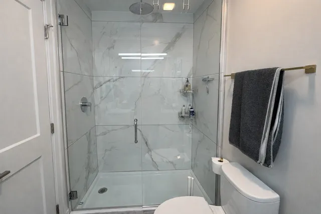 a bathroom with a shower and toilet
