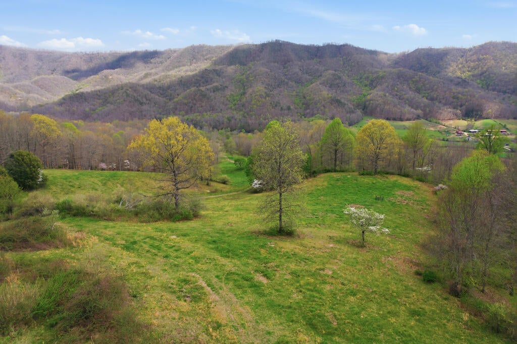 4020 Freestone Valley Road Tannersville, VA 24377 - Photo 53 of 109 Gallery Image 53