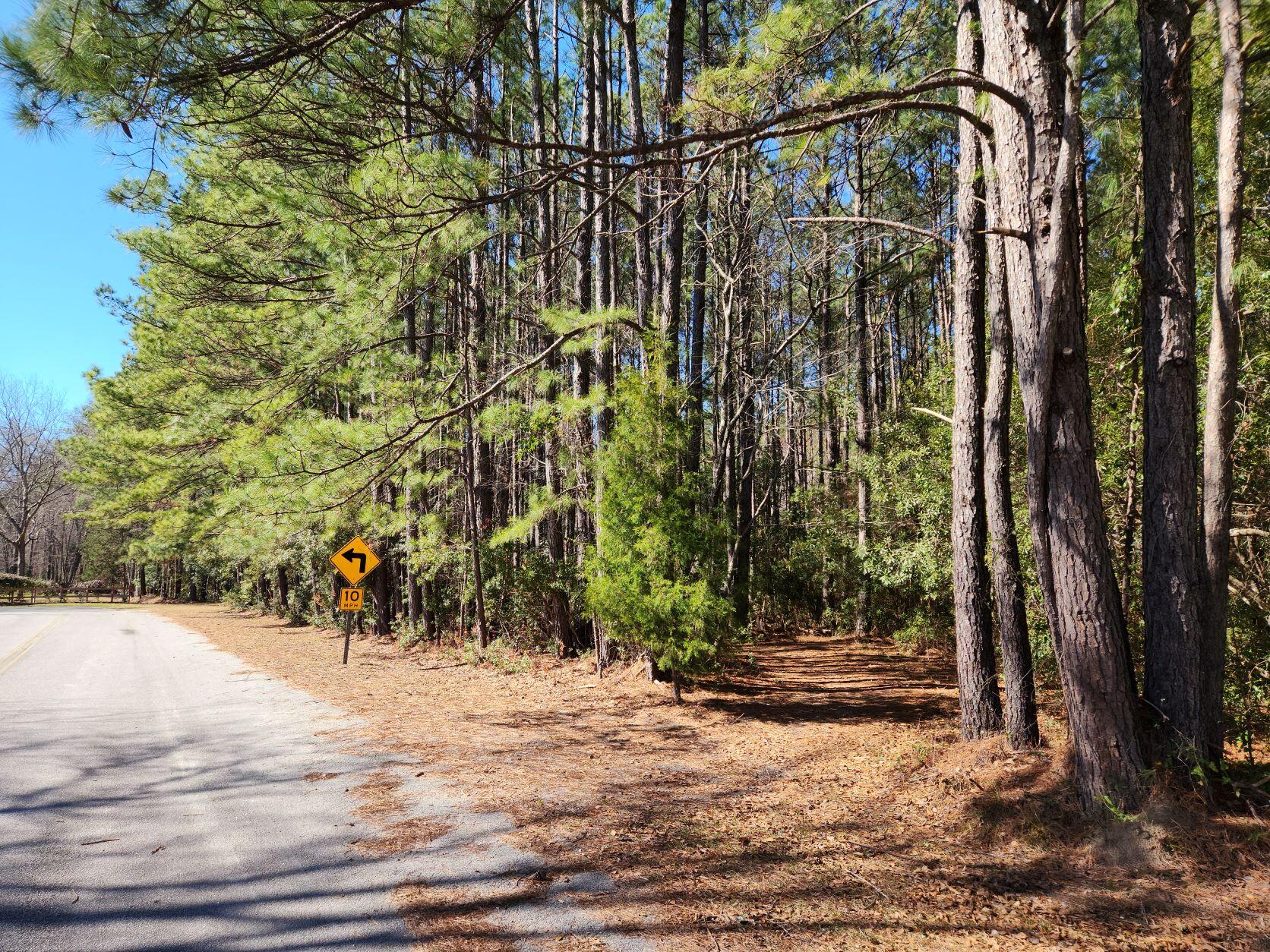 378 South Main Street Ridgeville, SC 29472 - Photo 4 of 8 20230206_133912