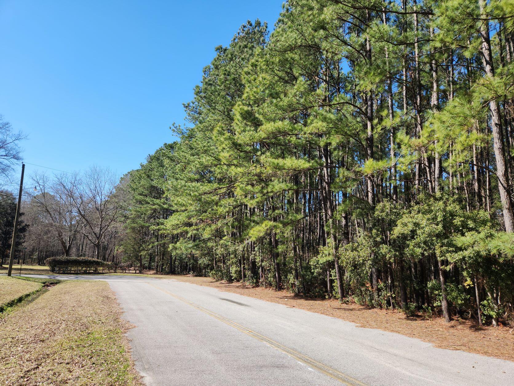 378 South Main Street Ridgeville, SC 29472 - Photo 5 of 8 20230206_133950