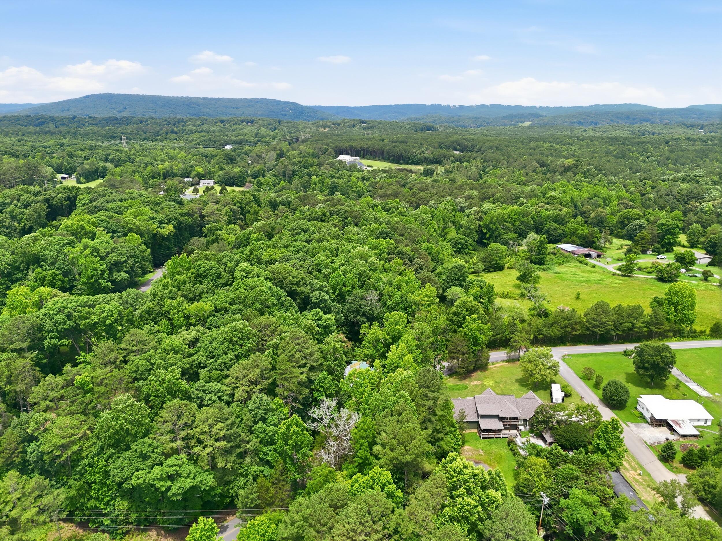 1600 Old Alabama Road Southwest McDonald, TN 37353 - Photo 49 of 69 016_dji_20260618123519_0822_d