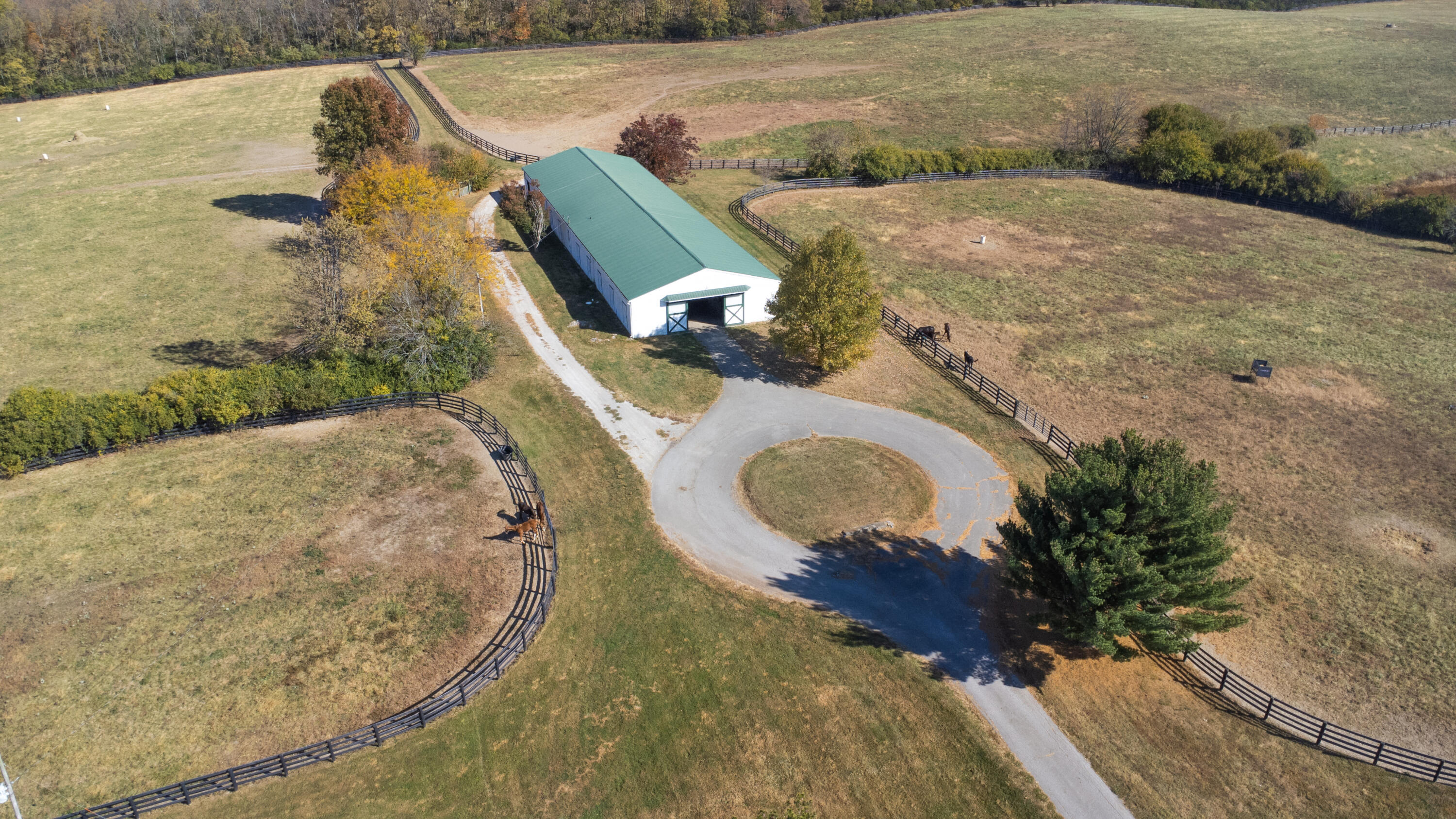 FirstBarn
