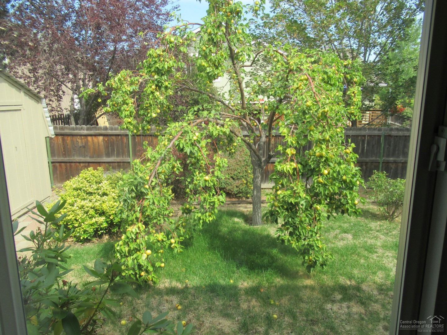 3048 Northeast Raleigh Court Bend, OR 97701 - Photo 17 of 22 Additional Photo