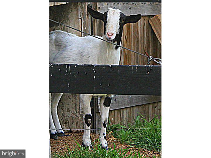 494 Gehman Road Barto, PA 19504 - Photo 11 of 25 Barn