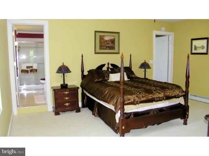 494 Gehman Road Barto, PA 19504 - Photo 22 of 25 Master Bedroom