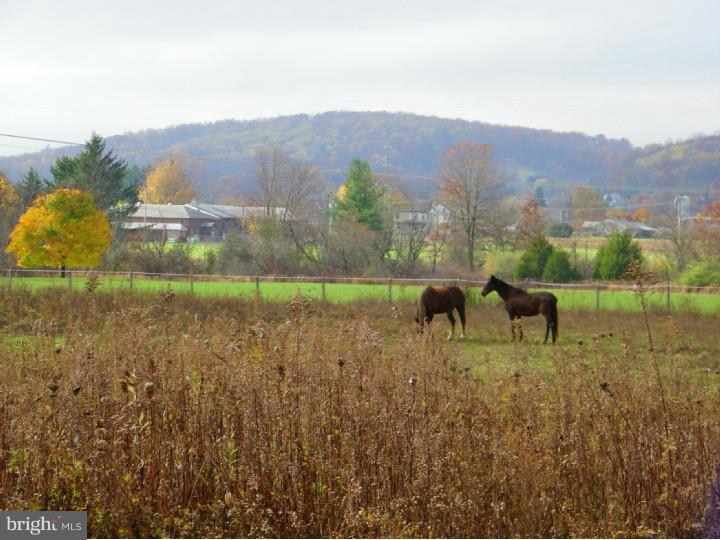 494 Gehman Road Barto, PA 19504 - Photo 10 of 25 Gallery Image 10