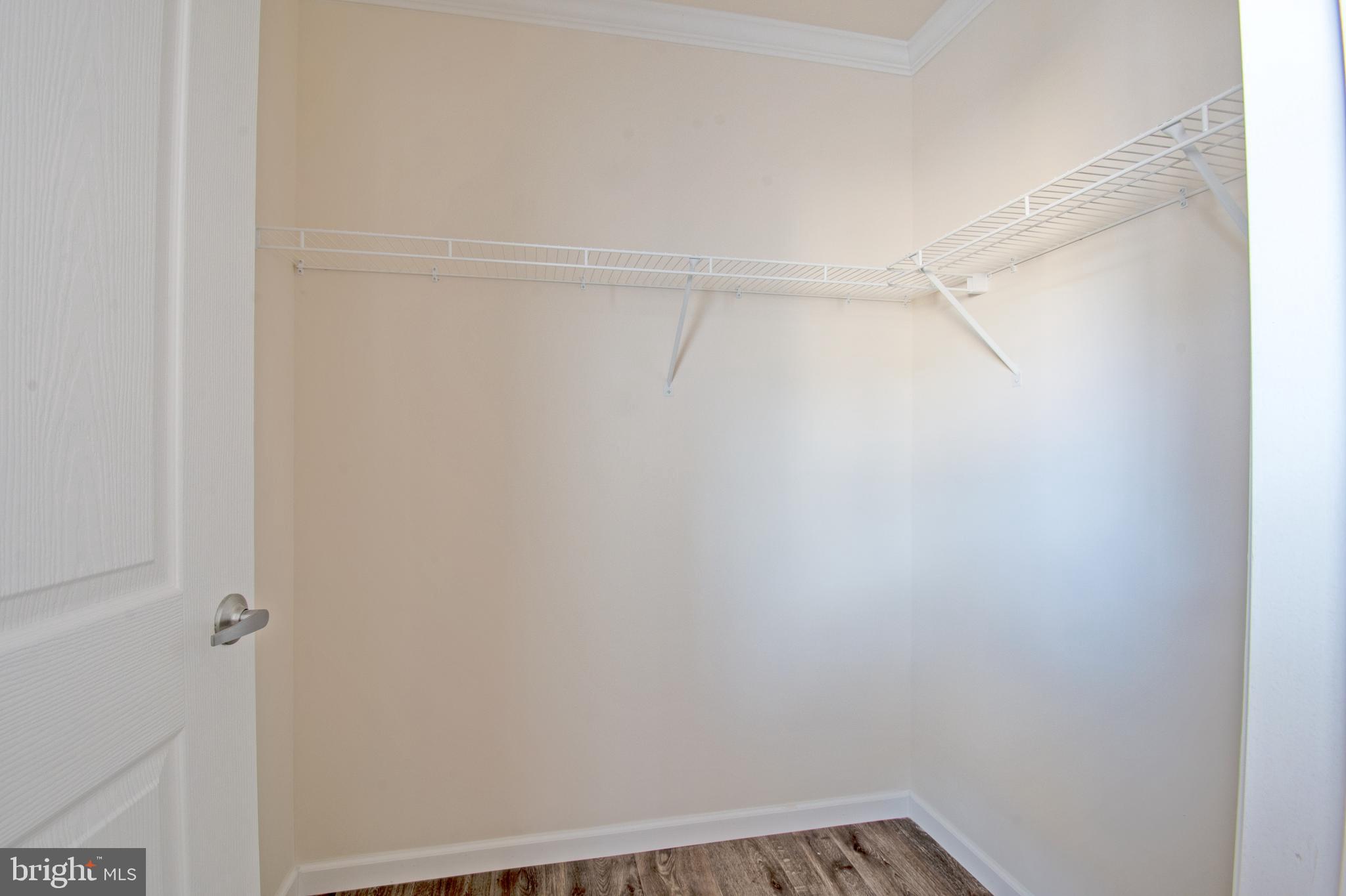 91 Longbow Lane Hartly, DE 19953 - Photo 11 of 21 a view of an empty walk in closet