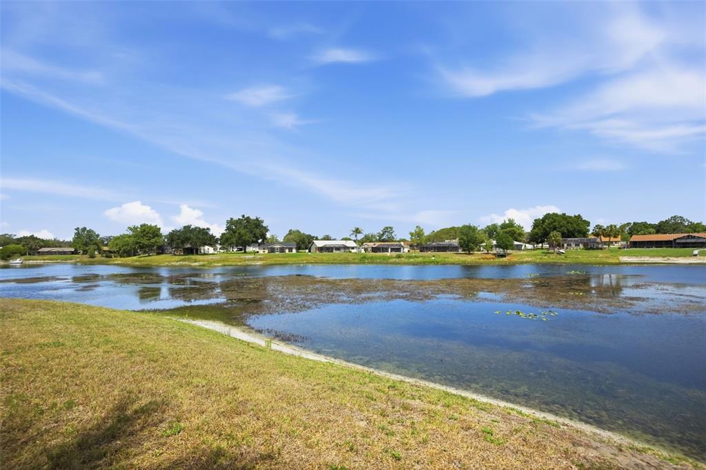 9143 Lingrove Road Weeki Wachee, FL 34613 - Photo 62 of 73
