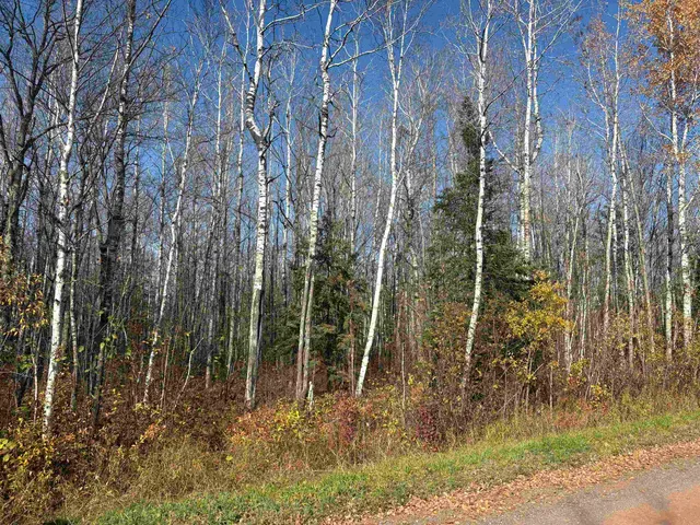 $49,900 | Xxx Xxx Madigan Road, Ashland, WI 54806