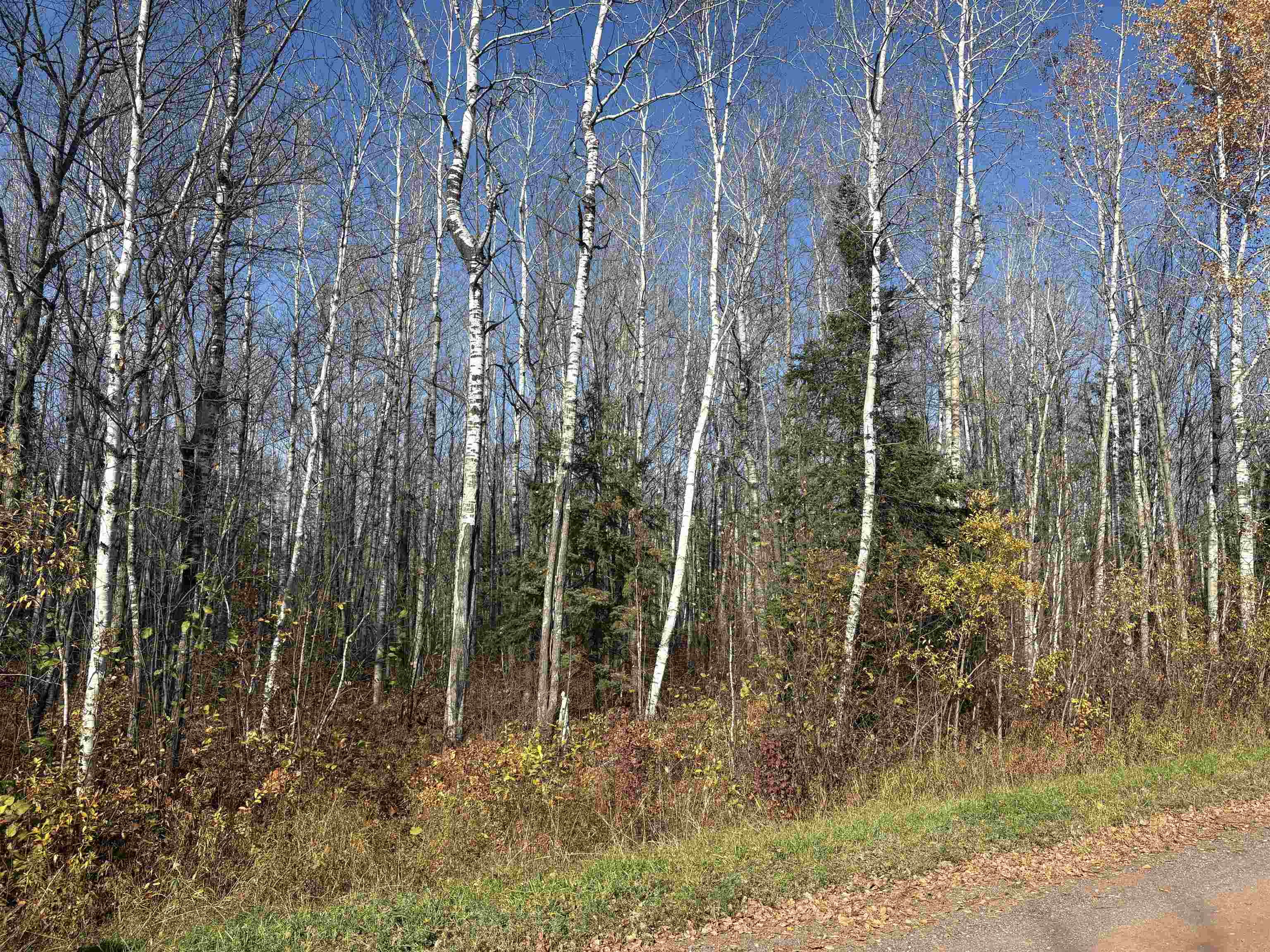 Xxx Xxx Madigan Road Ashland, WI 54806 - Photo 2 of 5 Hardwood With Birch