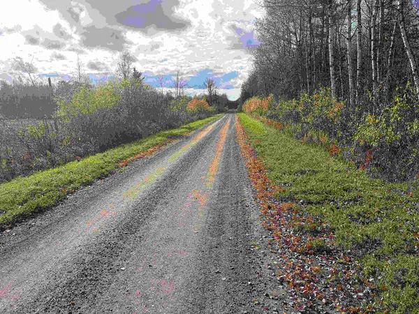 $49,900 | Xxx Xxx Madigan Road, Ashland, WI 54806