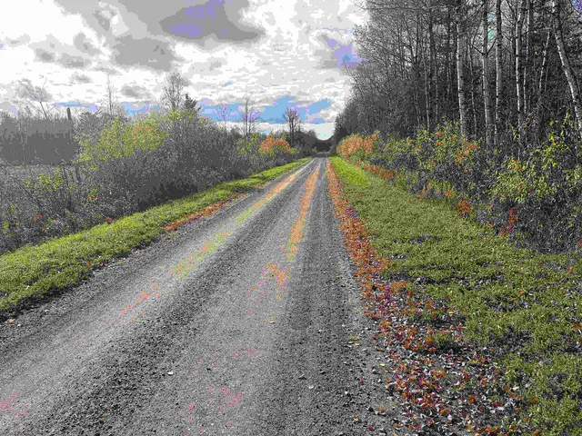 $49,900 | Xxx Xxx Madigan Road, Ashland, WI 54806