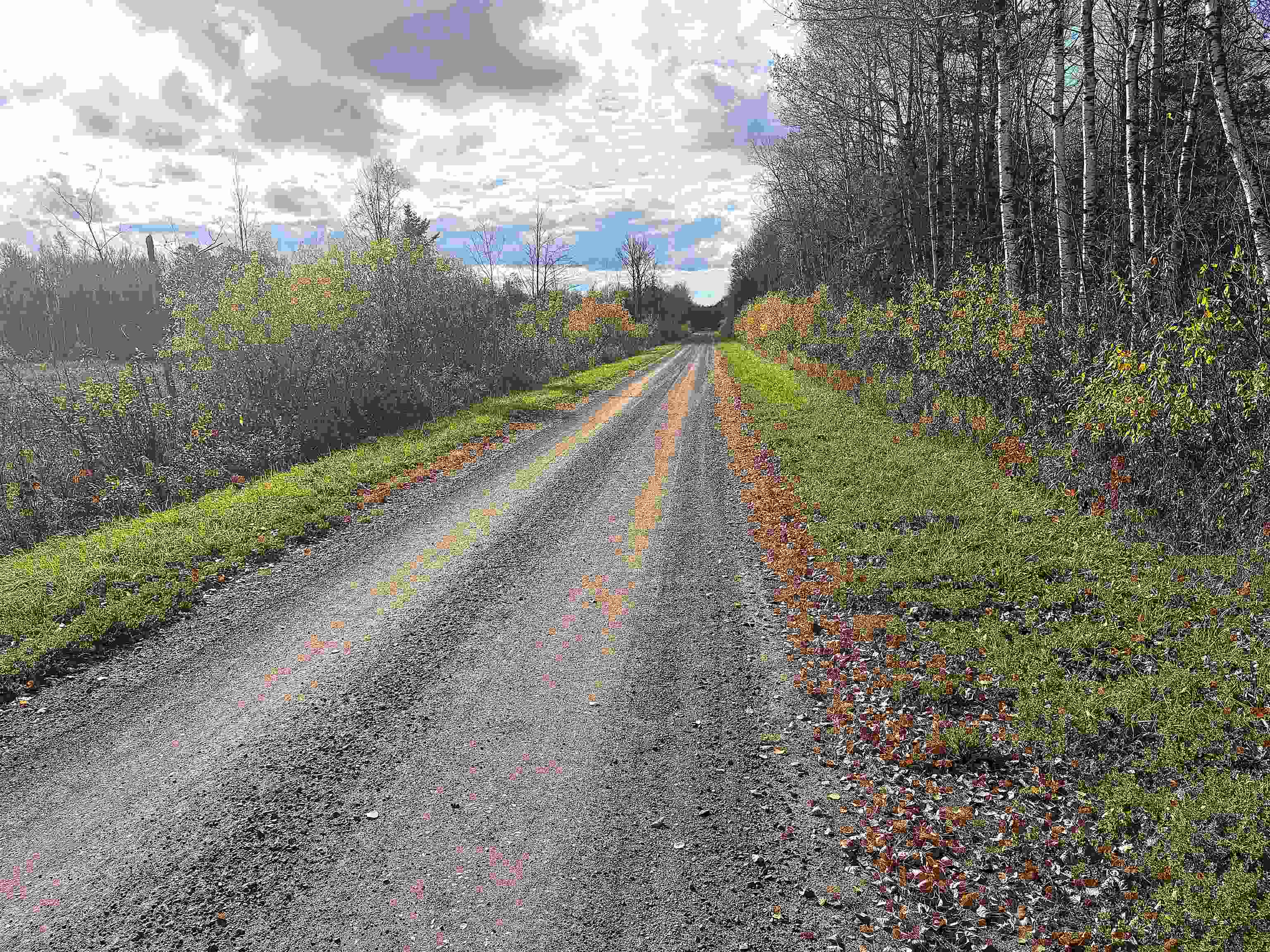 Xxx Xxx Madigan Road Ashland, WI 54806 - Photo 5 of 5