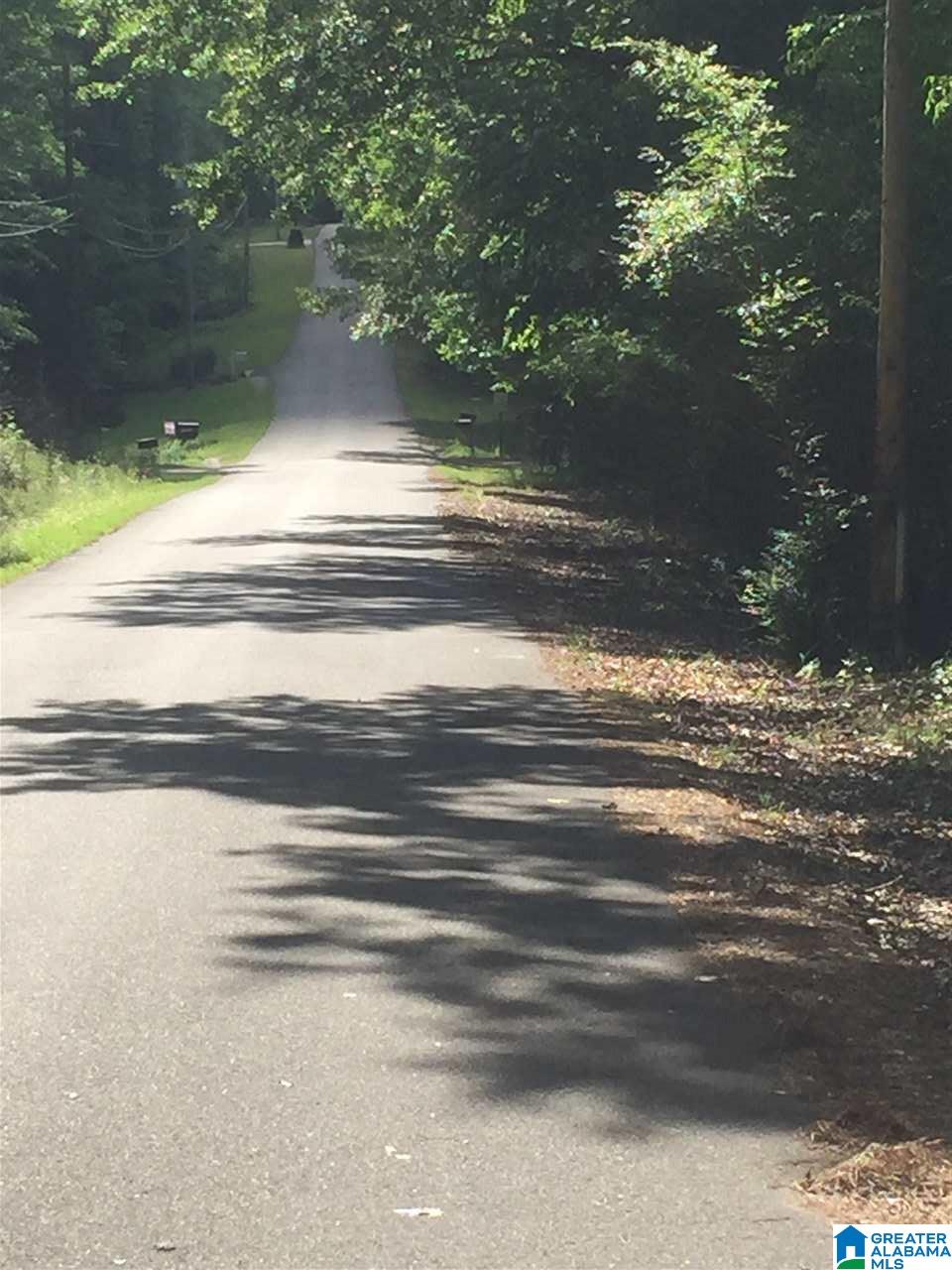 Old Village Road McCalla, AL 35111 - Photo 12 of 12