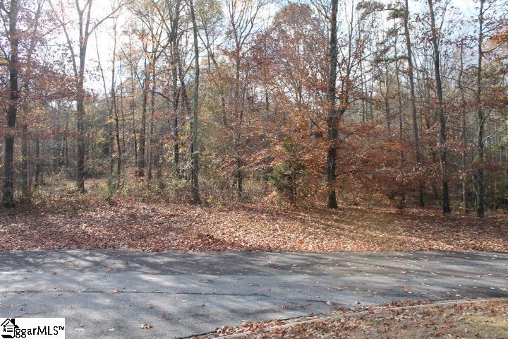 0 Sally Reed Road, Unit LOT 25 Belton, SC 29627 - Photo 22 of 31